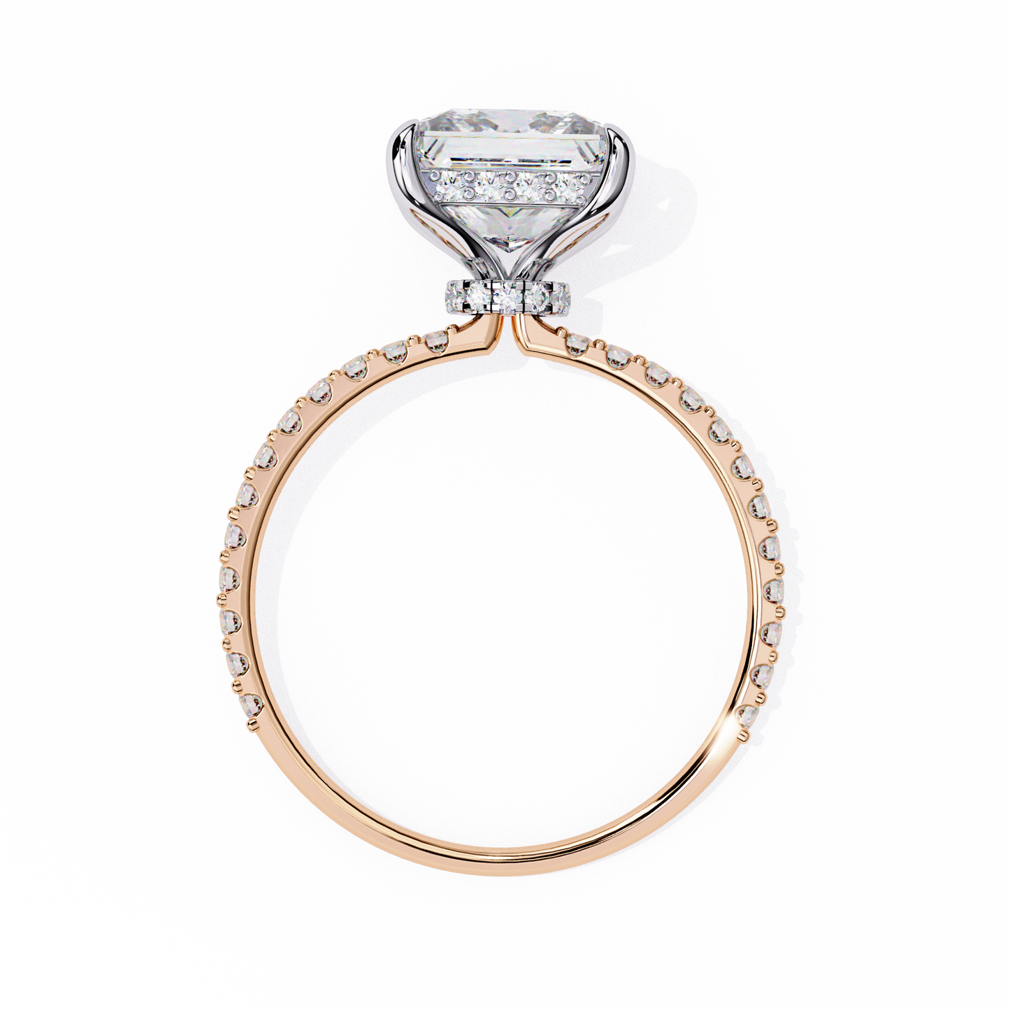 The Princess Veiled Halo Engagement Ring