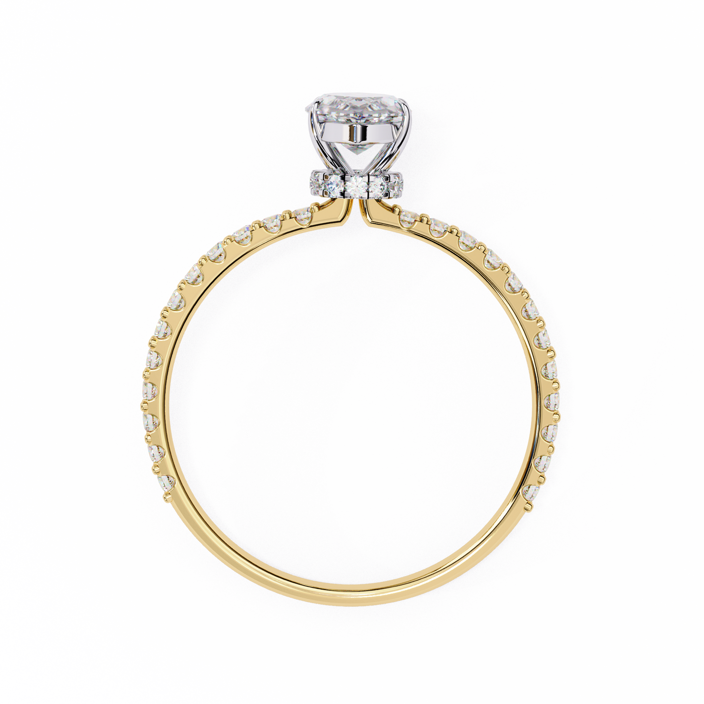 The Veiled Halo Engagement Ring